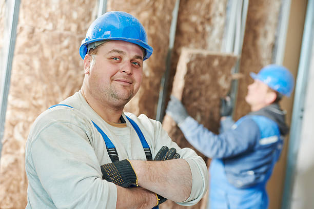 Best Insulation Maintenance and Repair in Britt, IA